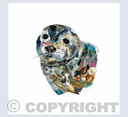 Grey seal