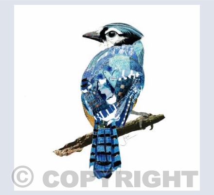 Blue jay