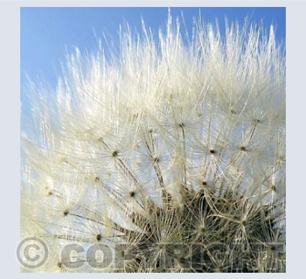 One, two, three o'clock