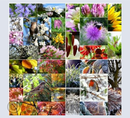 Four seasons