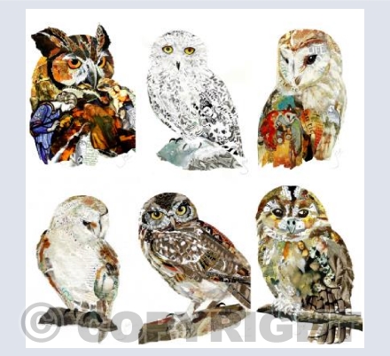 British owls