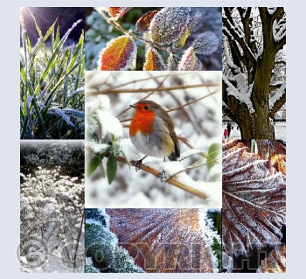 Winter collage