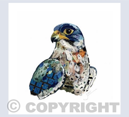 Peregrine Falcon