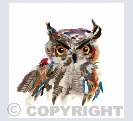 Long eared owl