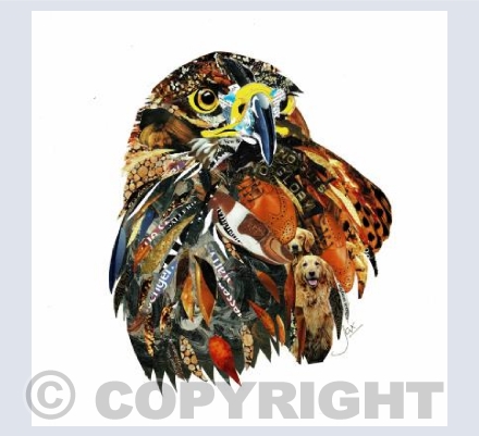 Golden Eagle