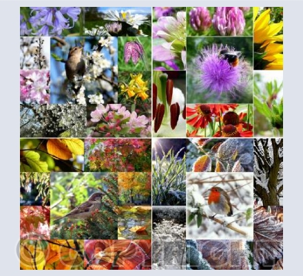 The Four Seasons