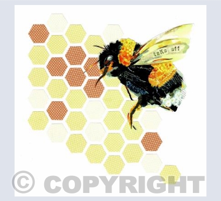 Honey Bee
