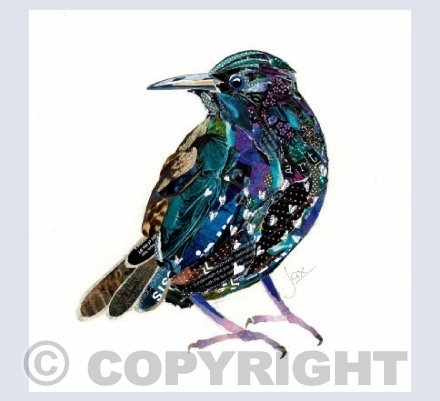 Starling 2