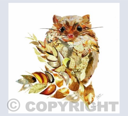 Harvest mouse