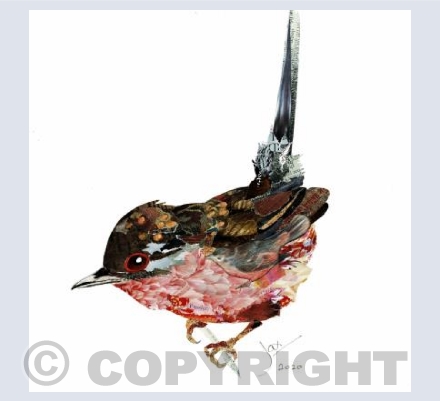 Dartford warbler