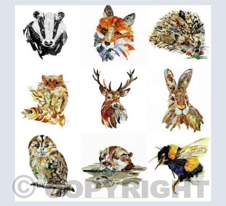 British Wildlife