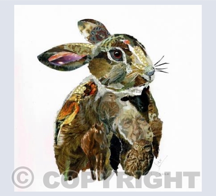 Bunny rabbit