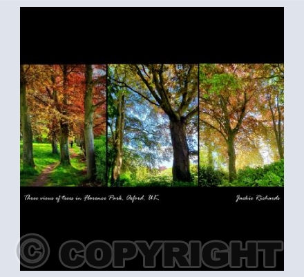 Florence Park, Oxford, UK