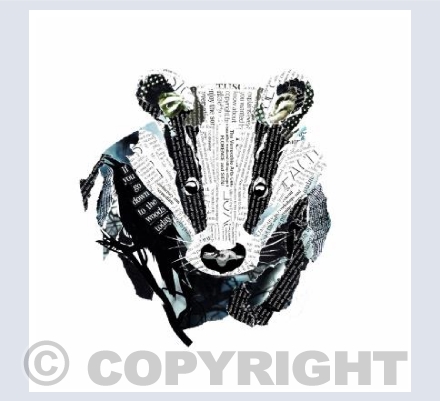 Badger