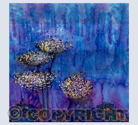 Cow parsley