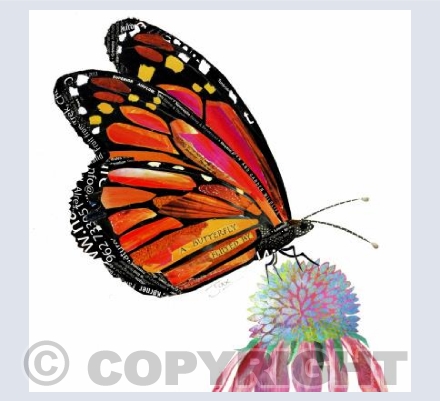 Butterfly on flower