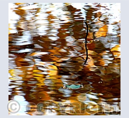 Autumn Reflections