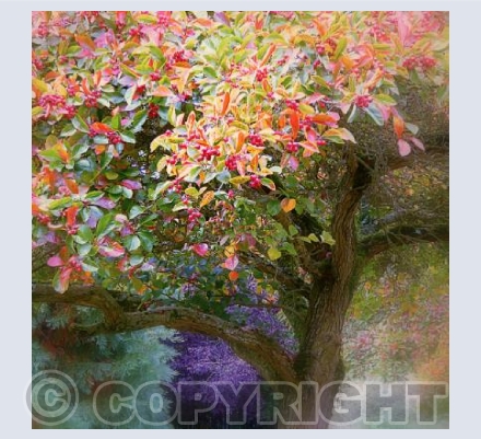 Hawthorn
