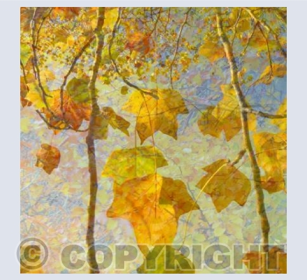 Autumn leaves 2