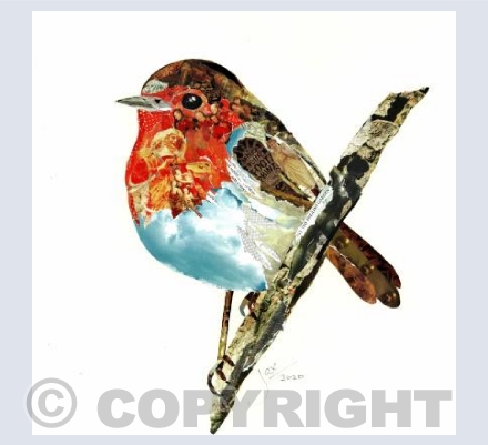 'Robin the Bruce'