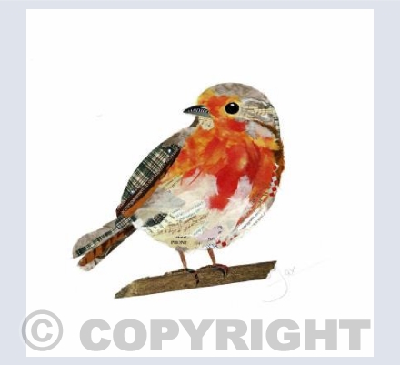 British robin