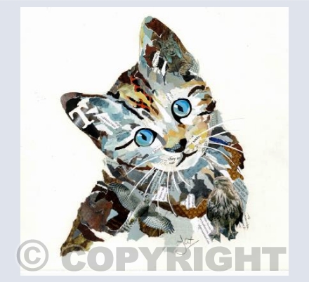 T is for Tabby