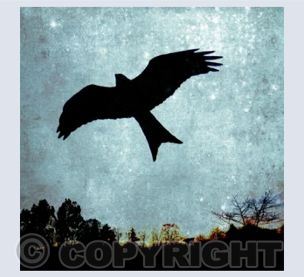 Flying high