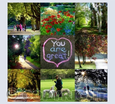Florence Park through the seasons