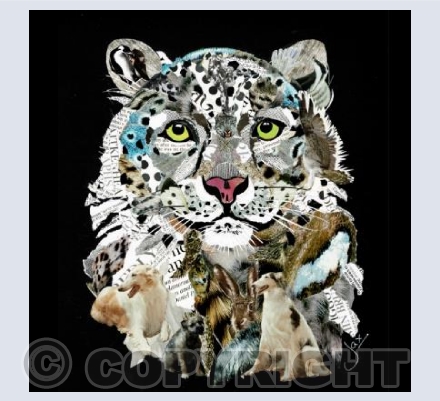 Snow Leopard