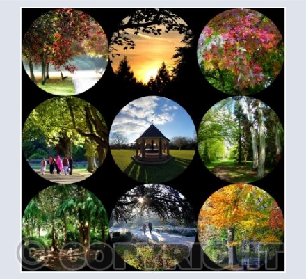 Florence Park, Oxford