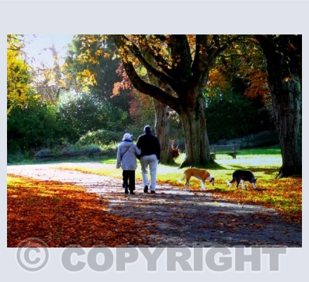 Autumn in Florence Park, Oxford
