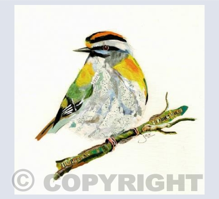 Goldcrest