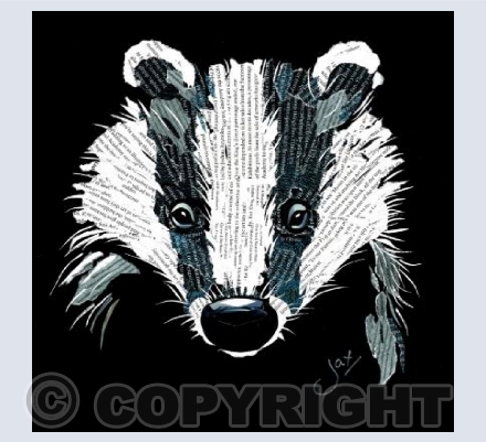 Badger at Night