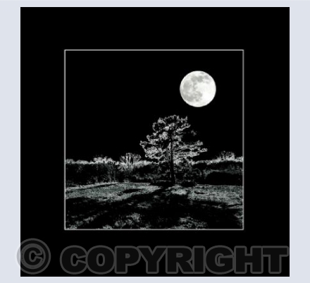 Treescape No.9
