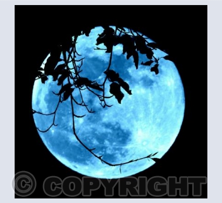 Blue Moon