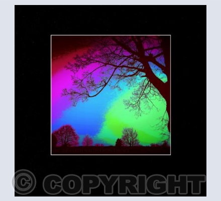 Rainbow sunset (black)