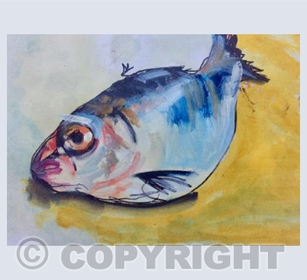 Fish Study