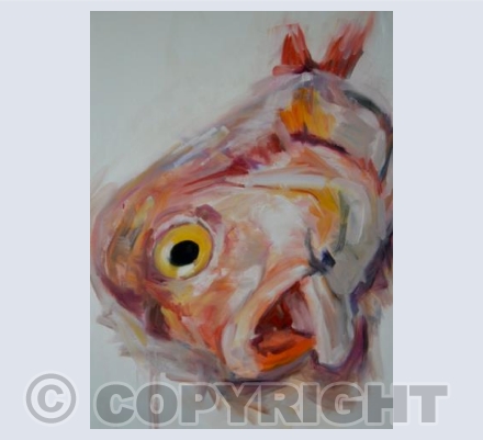 Pink Orange Yellow Fish