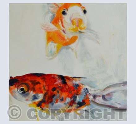Two Goldfish