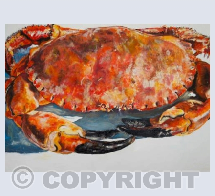 Crab Old
