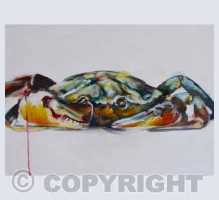 Crab Colourful 
