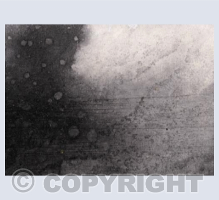 The Rain