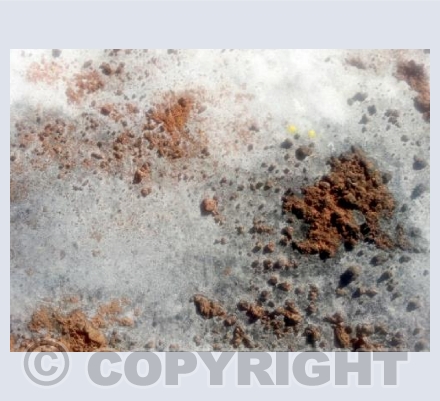 Red Earth
