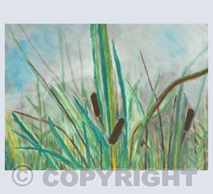 Reflections Of Stodmarsh