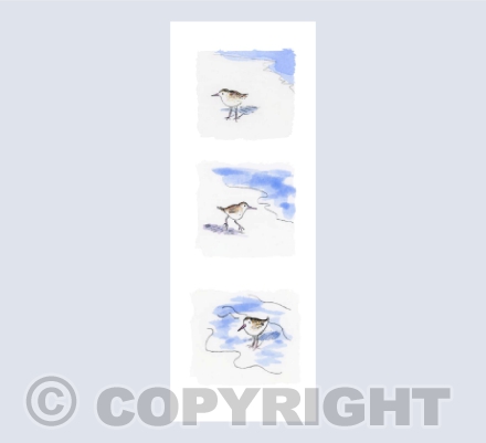 Sandpiper bookmark card