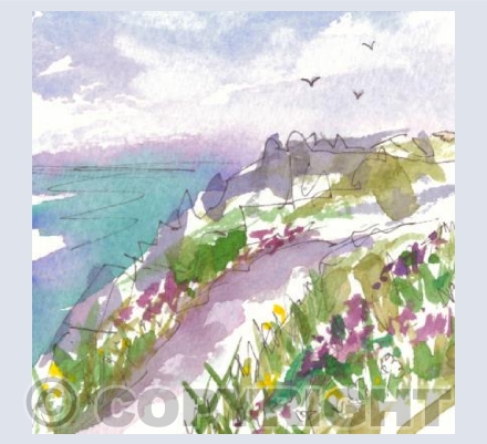 Coastal Flowers