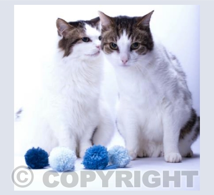 Mother and Son