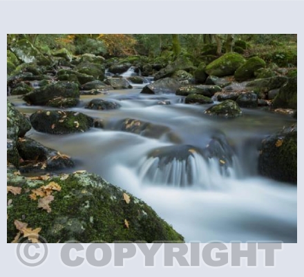 River Plym at Shaugh Bridge, Devon