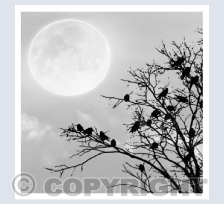 "Frozen Moon"