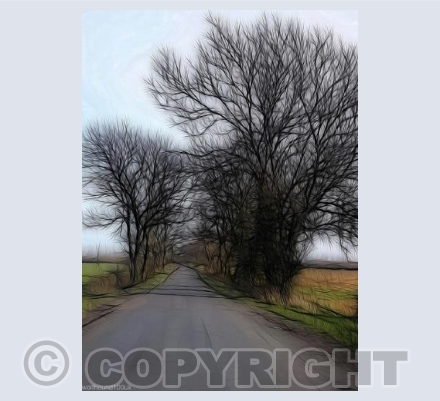 Tangled Trees